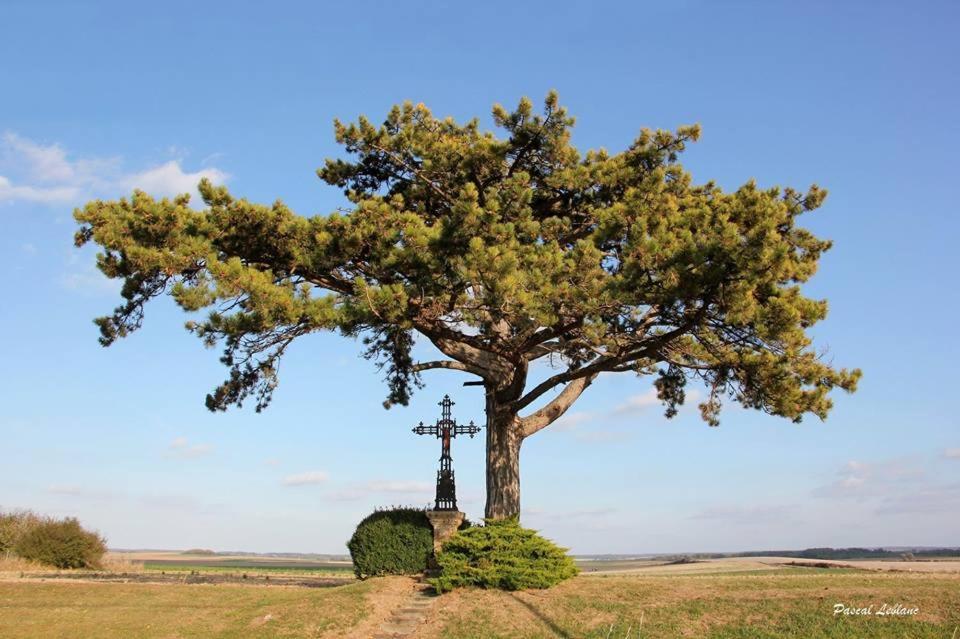 Auberge Du Pied Des Monts Grivy-Loisy 外观 照片